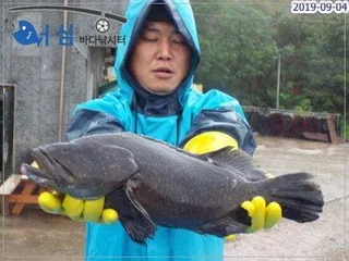 9월4일 어심바다낚시터조황 