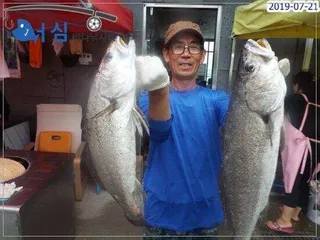  7월21일 어심바다낚시터조황 