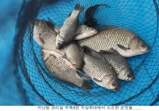 이곳은 장마가 아닌가봅니다.....