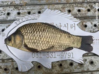 용담대물낚시터 