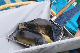 오늘(7-23일 ) 개업합니다