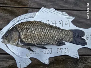 용담대물낚시터 