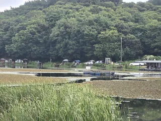 배수없는 항곡낚시터 조황