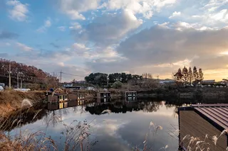 안성 두메낚시터 11월 28일 조황정보