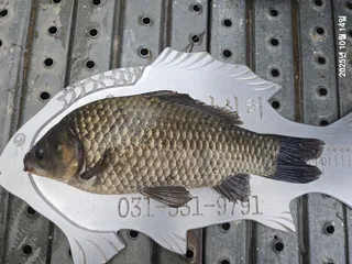 용담대물낚시터 