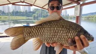 아산 명품 월랑낚시터 9월 두번째  조황소식입니다.....^^