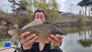 아산 명품 월랑낚시터  3월 마지막주 조황화보입니다...^^