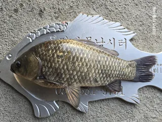 용담대물낚시터 