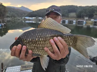 용담대물낚시터 