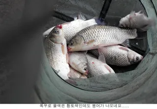 주말만되면 극한 폭우가 예보되어....