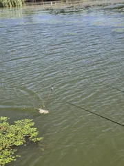배수없는 항곡낚시터  조황