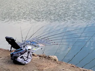 장계지에아름다운날들