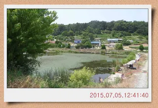 충남 아산 월선낚시터 7월 둘째주 스케치 및 정기방류