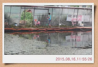 월선낚시터 수초작업 진행했습니다.