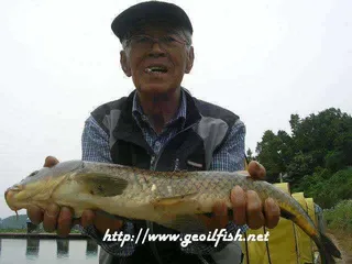 6월 세째주 조황