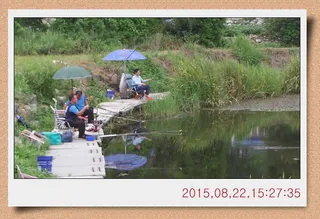 충남 아산 월선낚시터 8월 넷째주 정기방류소식