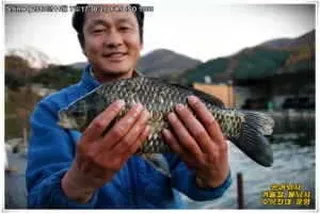 월척 마릿 수 "대박"