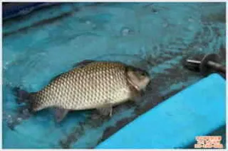 이제 날씨에 적응 되었나 봅니다