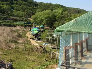 충남 공주시 요룡지 행복낚시터 5월 4일 조황정보입니다.^^