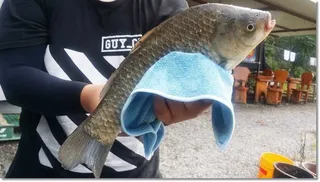 택암낚시터 7월12일조황정보