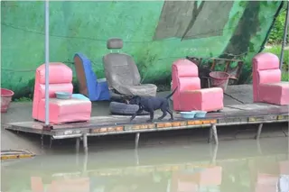 [유일낚시터] 수요일방류모습입니다,~~!