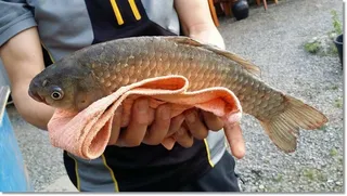 택암낚시터 주말조황소식