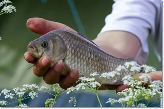 택암낚시터 주간소식