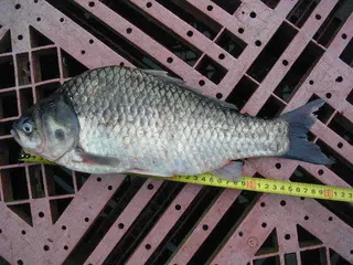 6월 둘째주 소식