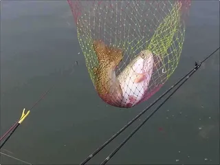 [유일낚시터] 손목을 다치셨다네요