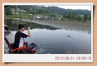 충남 아산 월선낚시터 8월 첫재주 조황정보