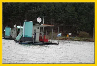 비바람을 비웃는 조황이...