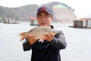 토종붕어터 예산 봉림지.  생미끼에 반응합니다.