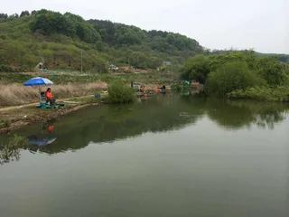 안녕하세요 요룡지 행복낚시터 입니다.^^ㅋ