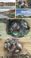 ※공주자연농원 조황정보(충청권,대전)※