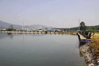 무네미낚시터 조황안내