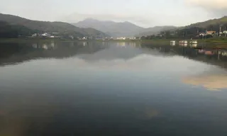 국화지 조황 스케치