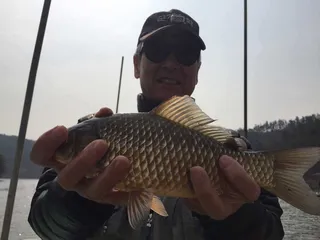 행복낚시터 요룡지 조황정보입니다~