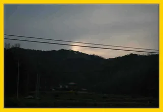 본격적인 산란속에...