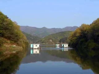 충북 옥천 개심지의 4월 3째주 모습