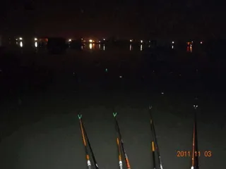 입석 낚시터11월4일 조황안내(토종댐붕어)