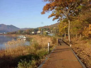 국화지 11월 둘째 주 조황 스케치