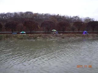 입석 낚시터11월6일 조황안내(토종댐붕어)