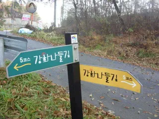 국화지 11월 다섯째 주 조황 스케치