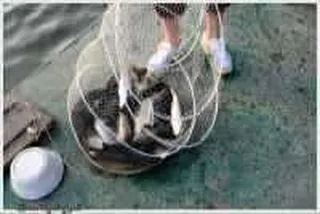 기산낚시터 5월 4일 조황정보