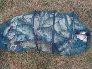 옥천 개심지의 소식