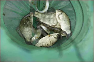 벌써 여름인가 봅니다...