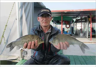 춘천  의암호 자갈섬 낚시터