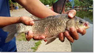 택암낚시터 조황정보