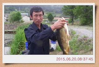 충남 아산 월선낚시터 6월 셋째주 스케치