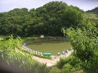 회자정리 거자필반(會者定離 去者必返)